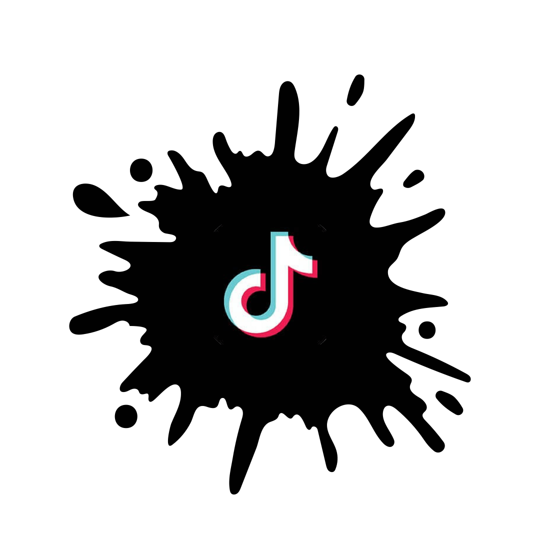 acheter des abonnes tiktok service 100 francais pluslike net